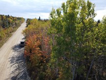 Terrain à vendre à Petite-Rivière-Saint-François — Chemin Savard (photo 11)