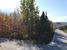 Terrain à vendre à Petite-Rivière-Saint-François — Chemin Savard (photo 12)