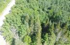 Terre/Terrain