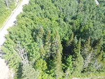Terrain à vendre à Petite-Rivière-Saint-François — Chemin Savard (photo 19)