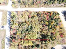 Terrain à vendre à Petite-Rivière-Saint-François — Chemin Savard (photo 2)