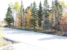 Terrain à vendre à Petite-Rivière-Saint-François — Chemin Savard (photo 4)