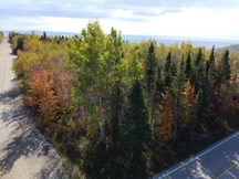 Terrain à vendre à Petite-Rivière-Saint-François — Chemin Savard (photo 5)