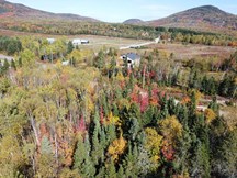 Terrain à vendre à Petite-Rivière-Saint-François — Chemin Savard (photo 7)