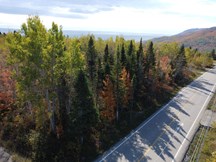 Terrain à vendre à Petite-Rivière-Saint-François — Chemin Savard (photo 8)