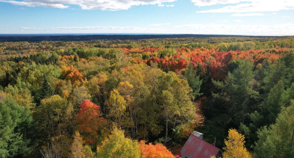 Aerial photo