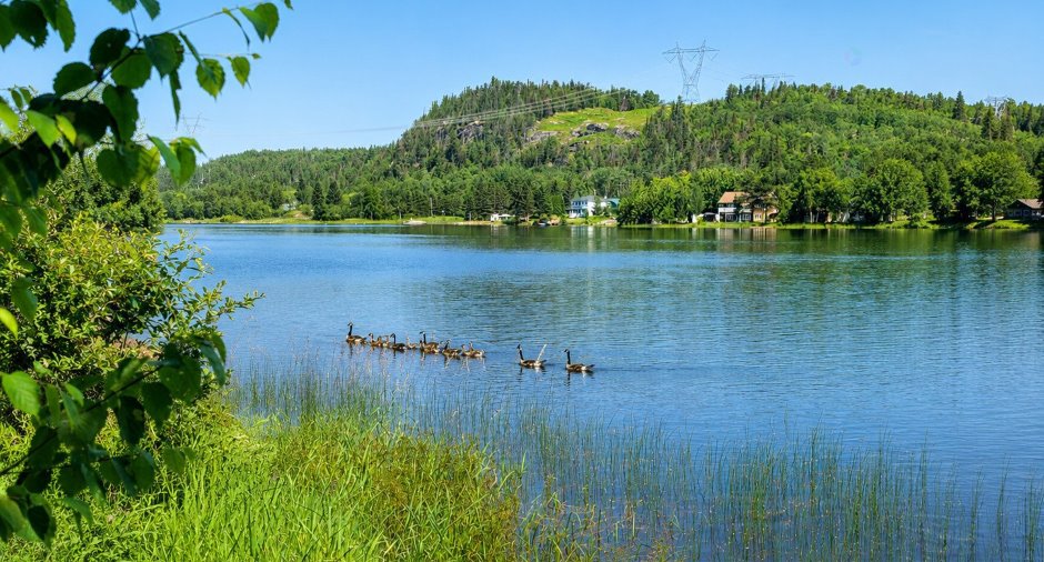 Bord de l'eau