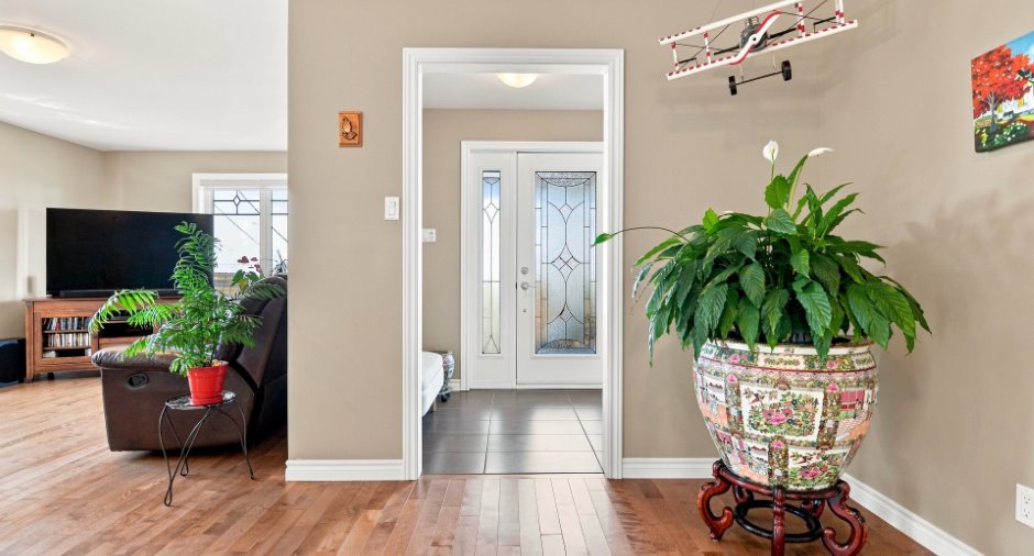 Hall d’entrée/Vestibule