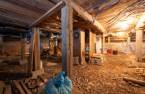Cave/ chambre froide