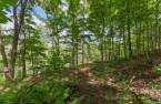 Terre/Terrain