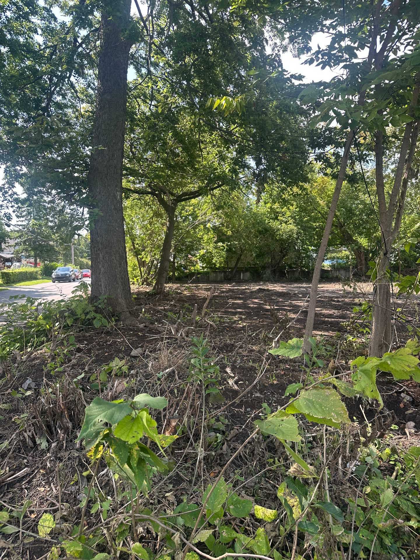 1380 49e Avenue — photo 2