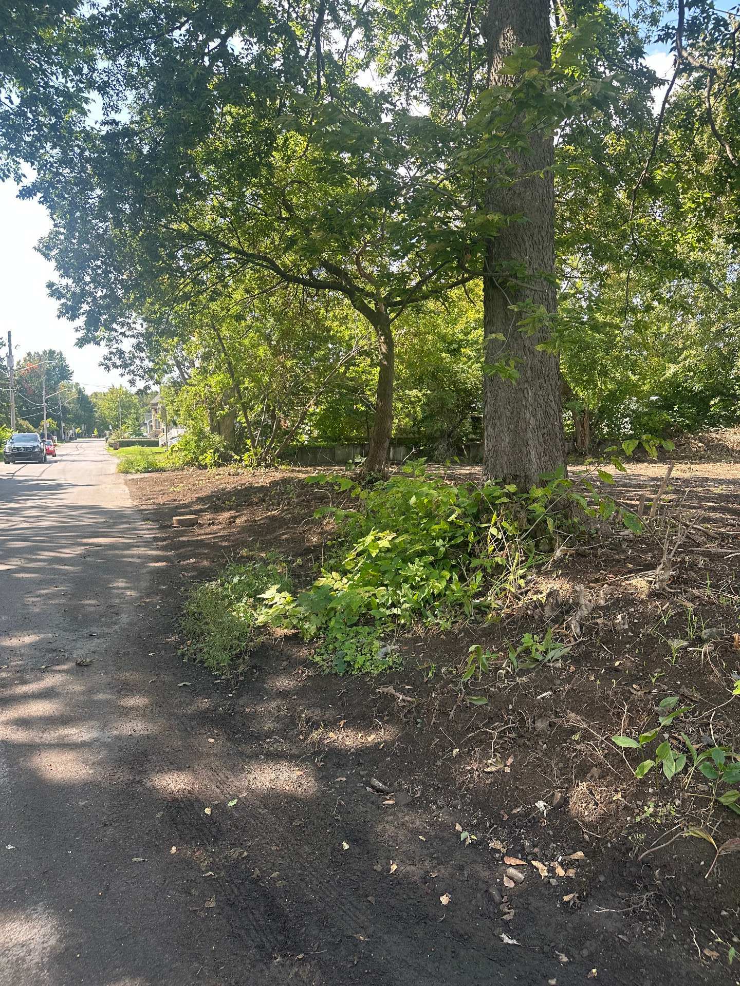 1380 49e Avenue — photo 3