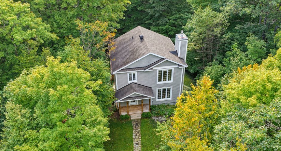 Overall View