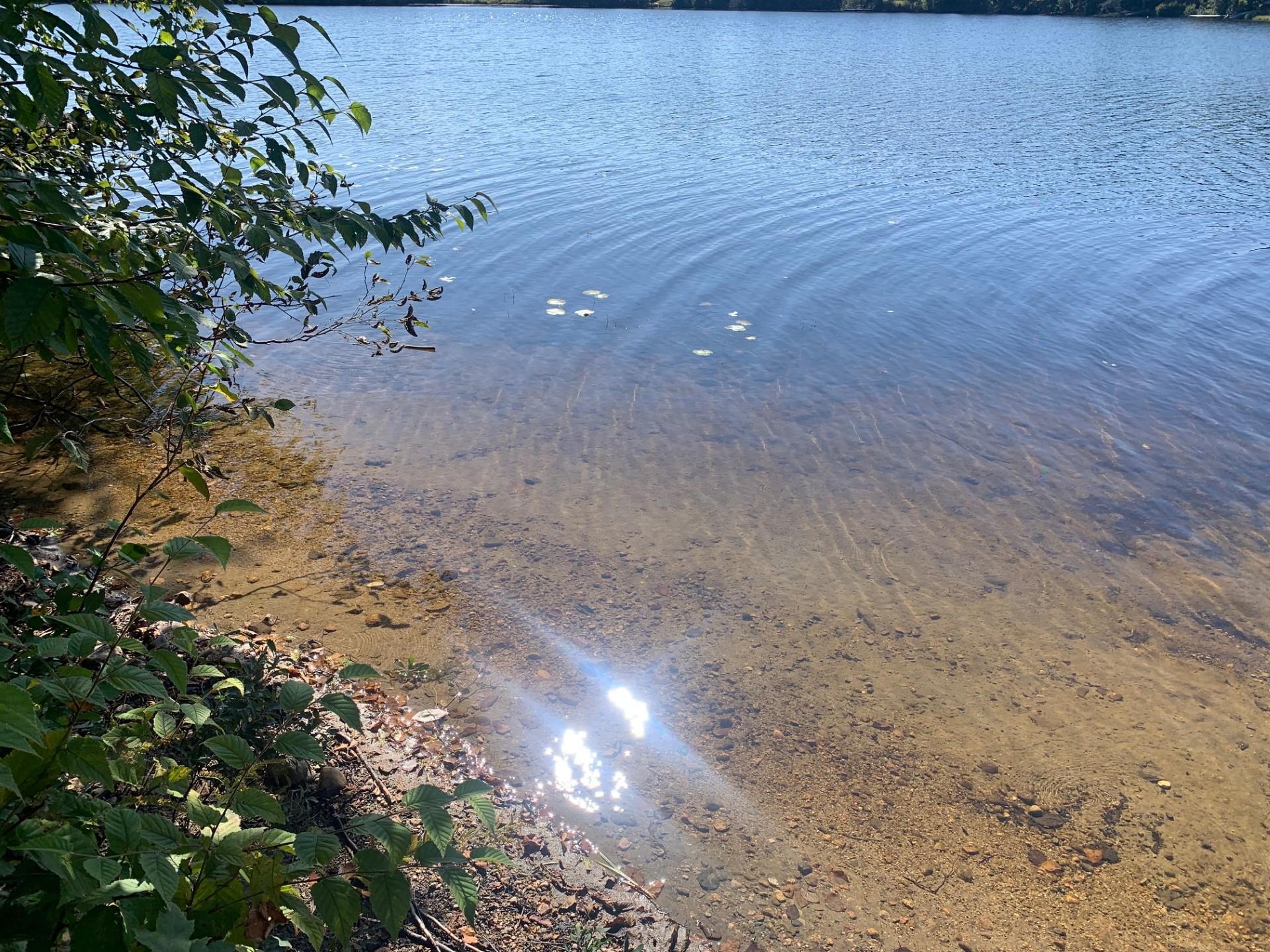 Mtée des Rocheleau — photo 2