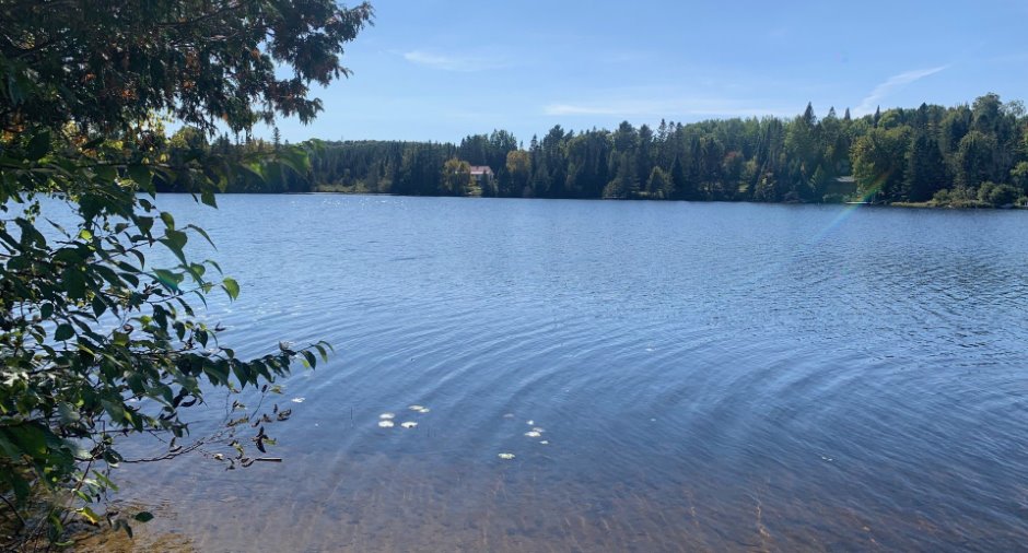Bord de l'eau