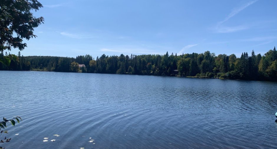 Vue sur l'eau
