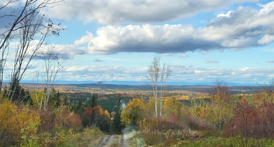 Vue
