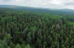 Terre à bois