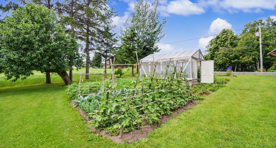 Jardin