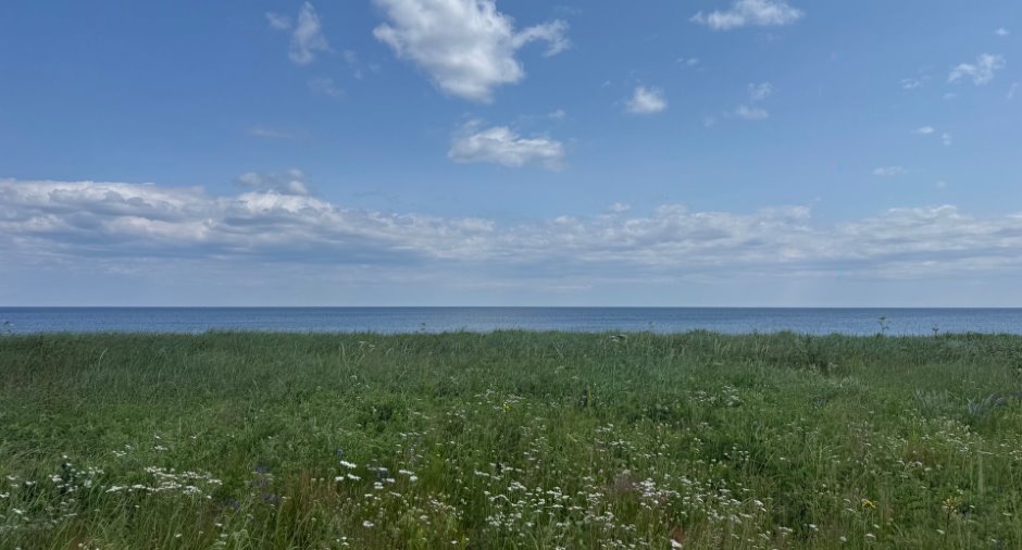 Vue sur l'eau