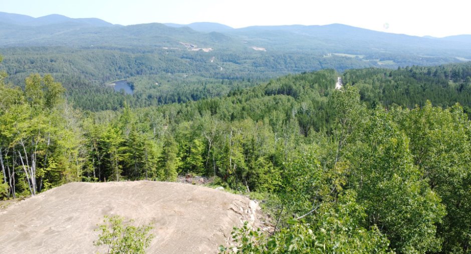 View