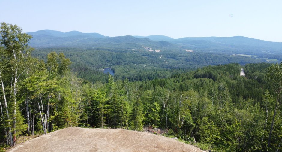 View