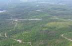 Terre/Terrain
