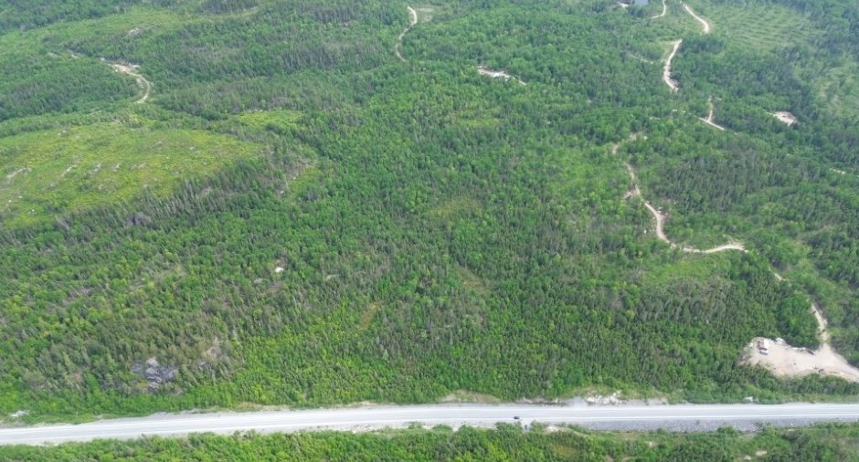 Terre/Terrain