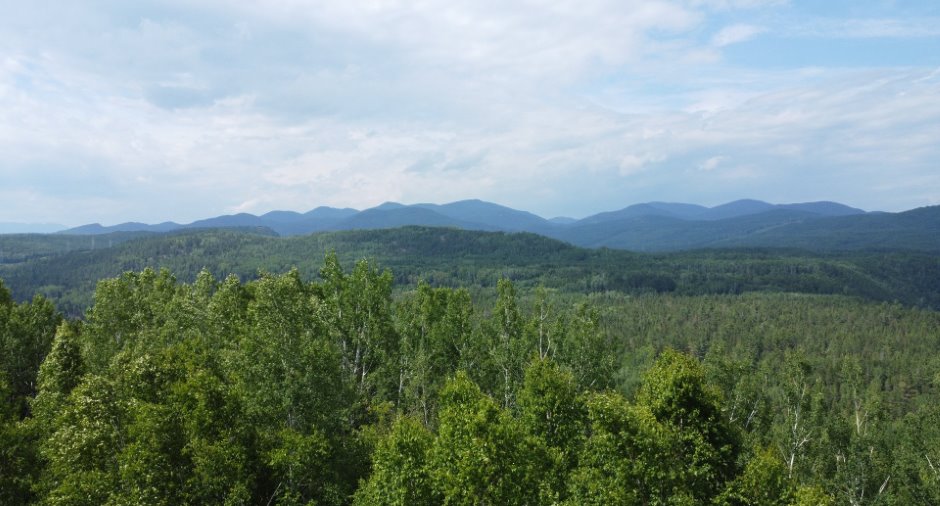 Vue