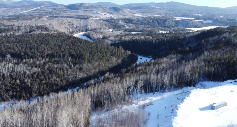 Vue