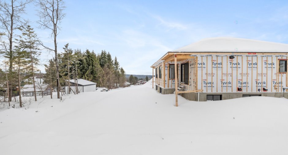 Terre/Terrain