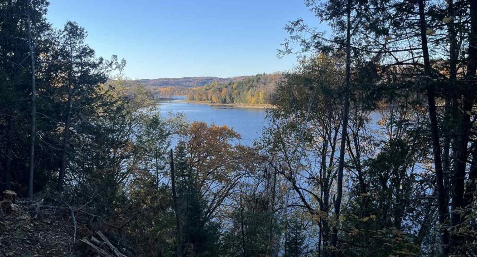 Vue sur l'eau