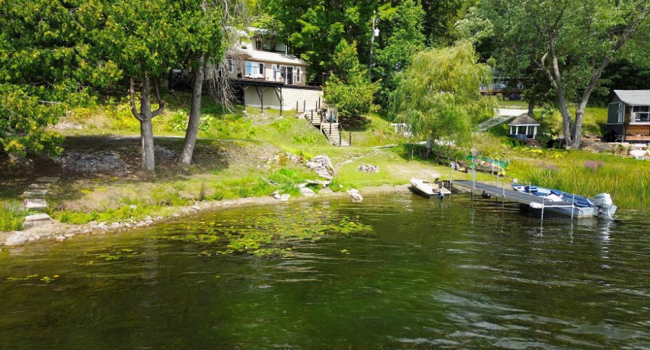 Bord de l'eau
