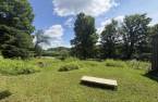 Terre/Terrain