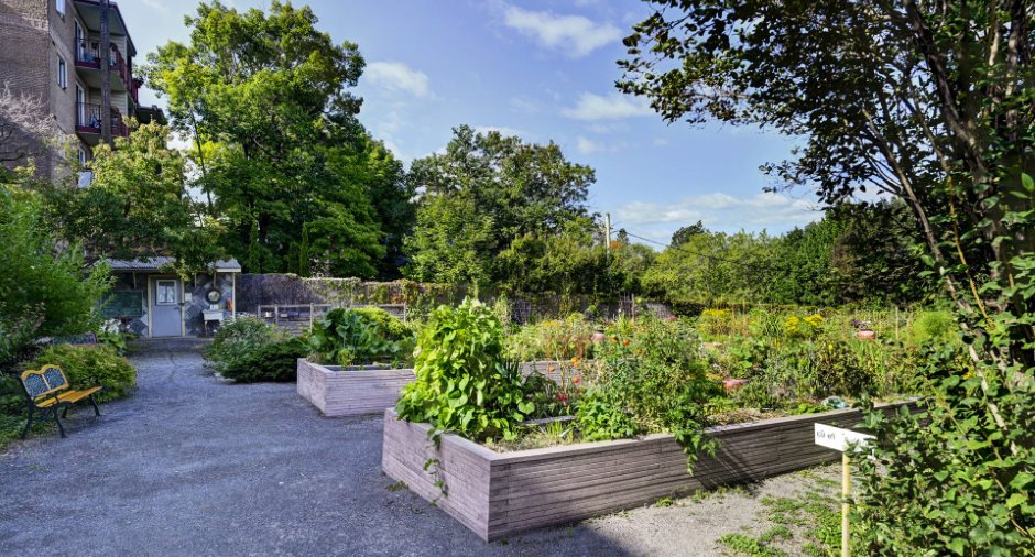 Jardin