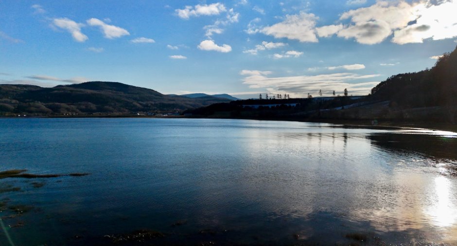 Vue sur l'eau