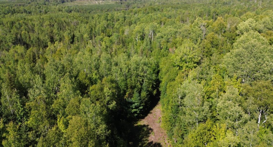 Aerial photo