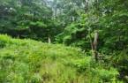 Terre/Terrain