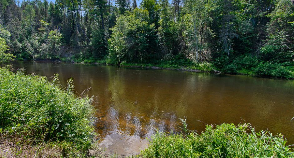 Bord de l'eau