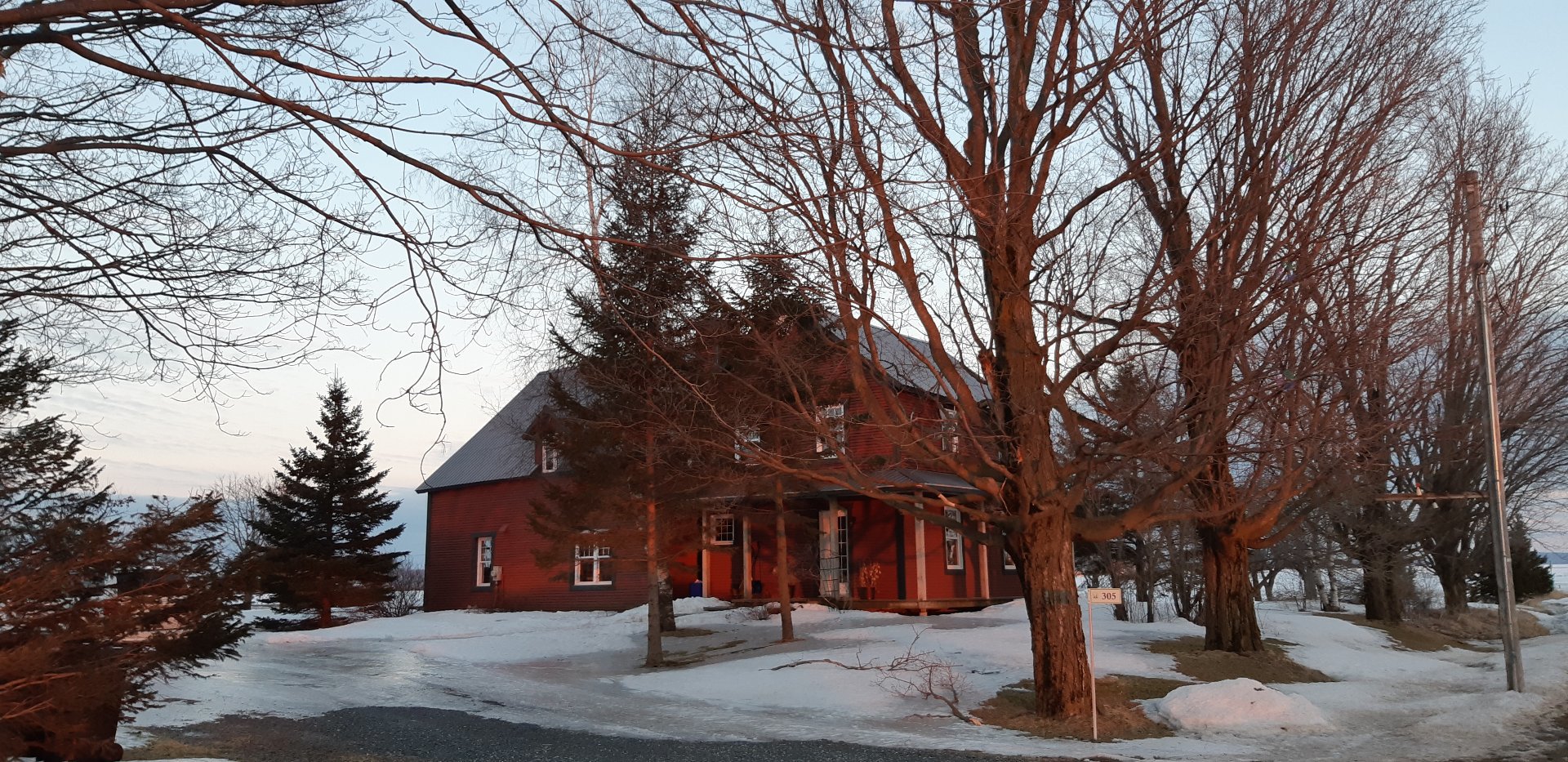 Overall View