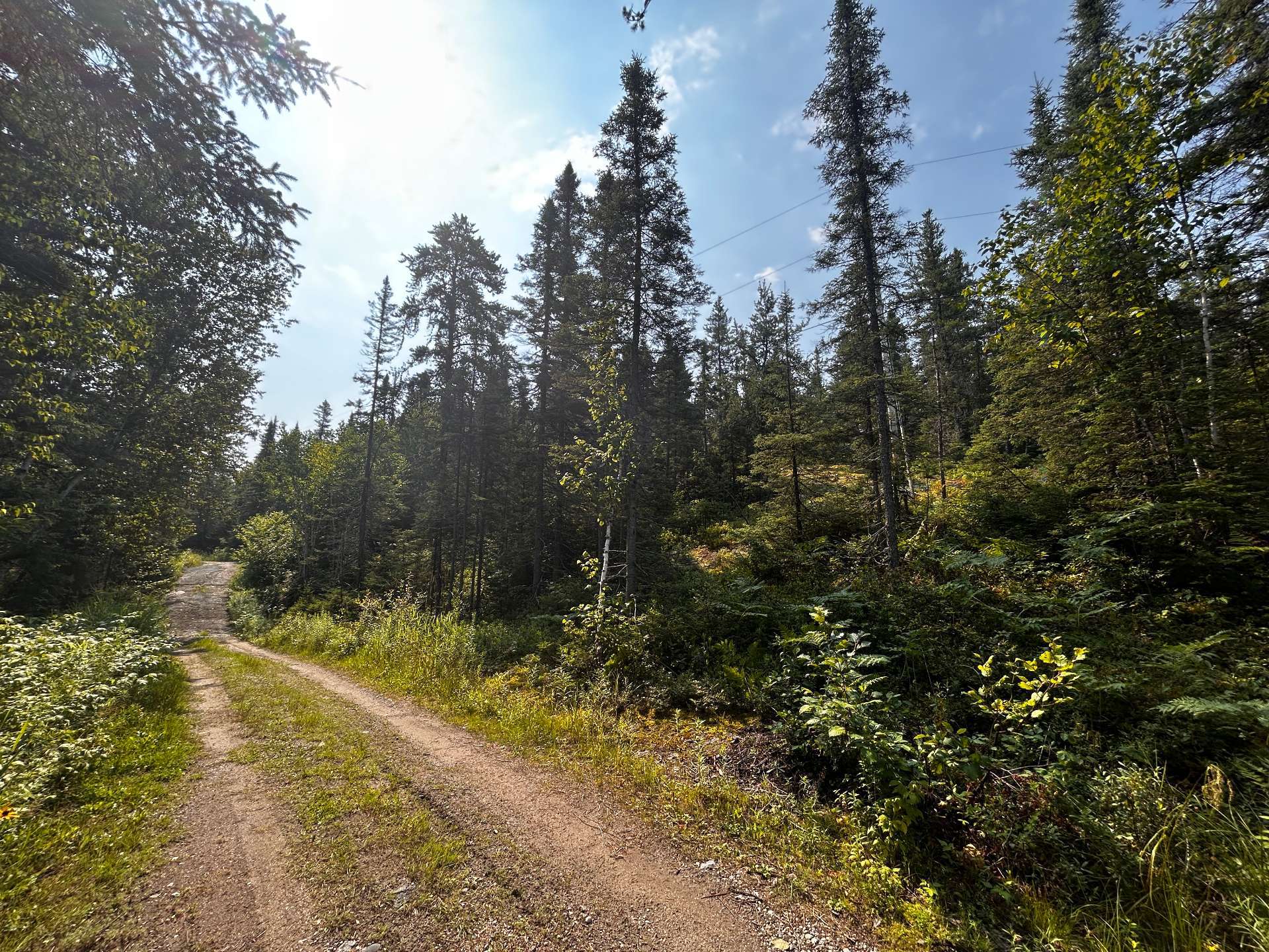 5e Rang — photo 2