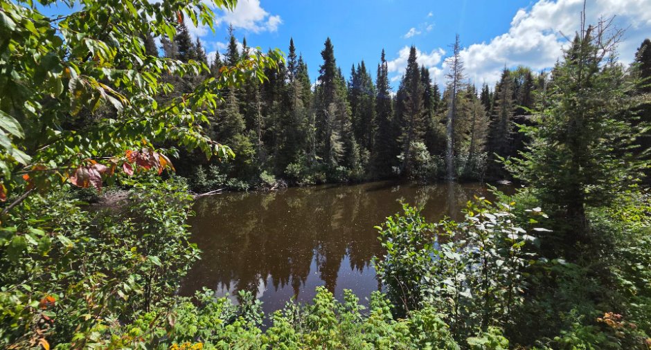 Accès au plan d'eau