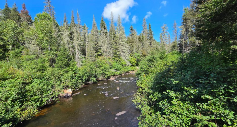 Accès au plan d'eau