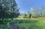 Terre/Terrain