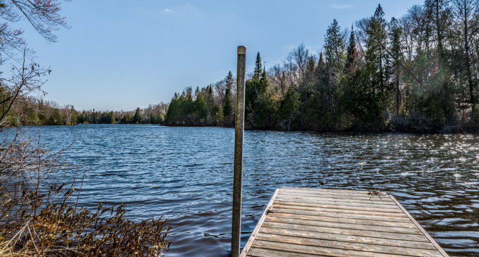 Bord de l'eau