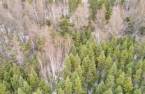 Terre/Terrain