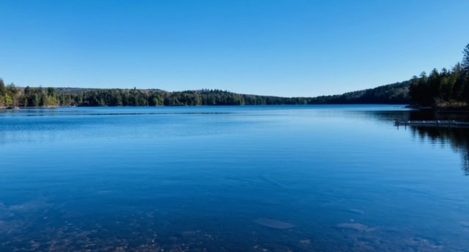Accès au plan d'eau
