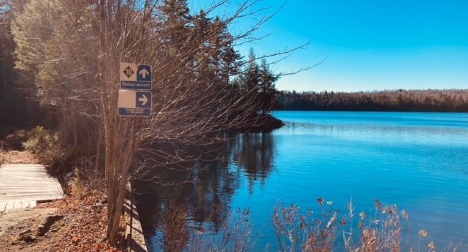 Accès au plan d'eau