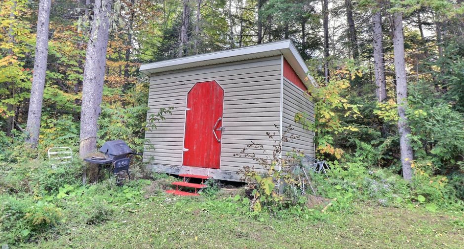Shed