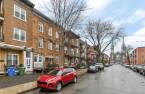Rue